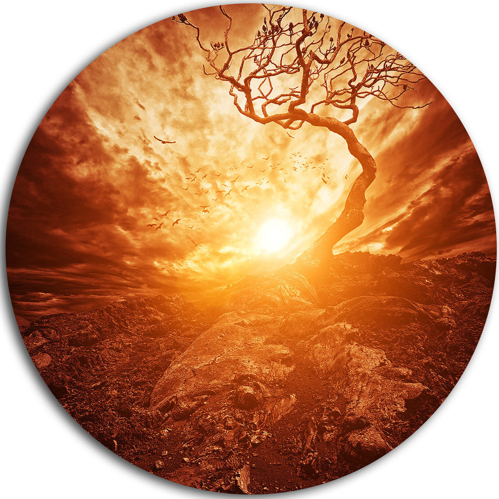 Dramatic Yellow Sun Over Lone Tree, Round Wall Art Landscape, 38"