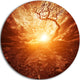Dramatic Yellow Sun Over Lone Tree, Round Wall Art Landscape, 38"