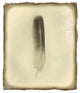 "Feather II Vintage" Digital Paper Print by Debra Van Swearingen, 36"x42"