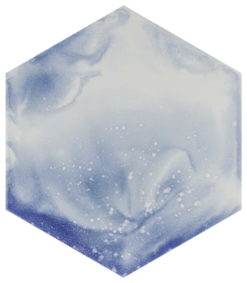 Raktion Hex Porcelain Floor and Wall Tile