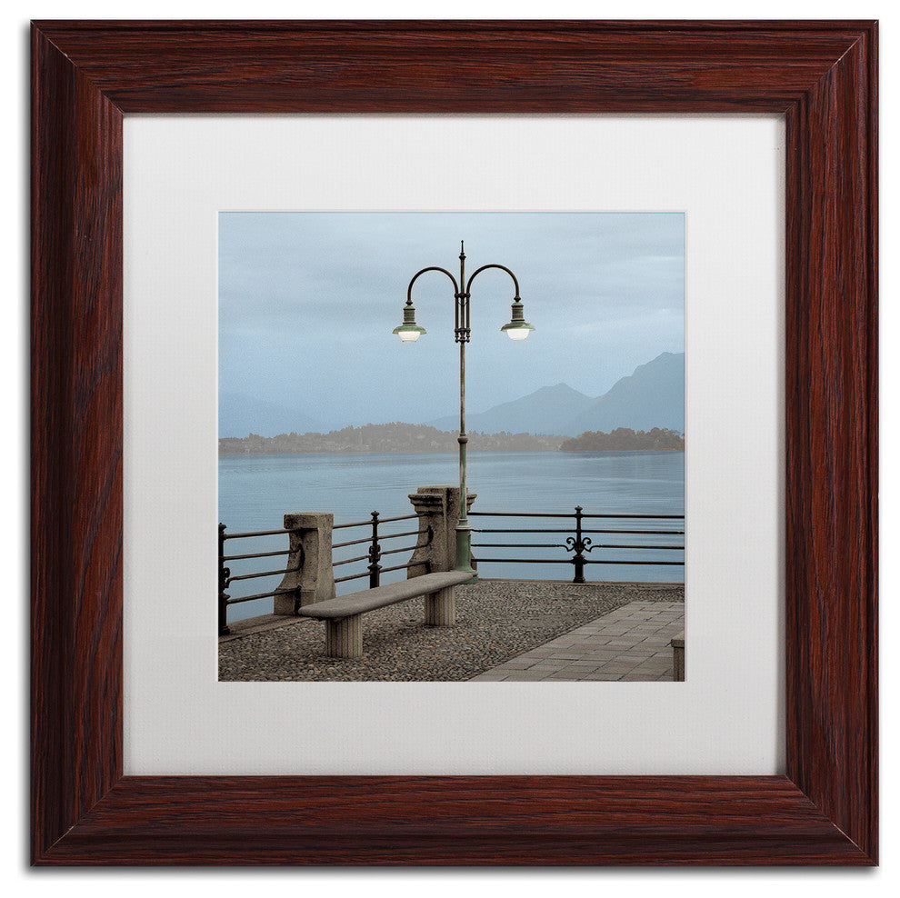 Alan Blaustein ''Lake Vista V'' Art, Wood Frame, White Mat, 11x11