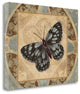 "Natures Butterfly I" By Piper Ballantyne, Giclee Print on Gallery Wrap Canvas