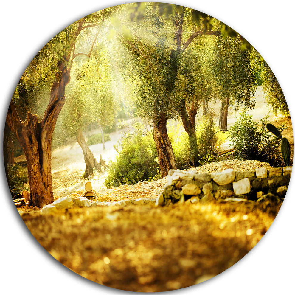 Olive Trees, Photography Large Disc Metal Wall Art, 11"