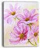 "Blooming Pink Cosmos Flowers" Canvas Print, 12"x20"