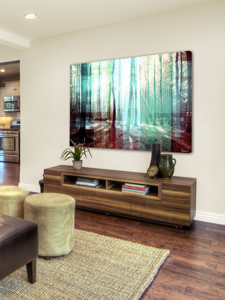 "Tree Rays" Fine Art Canvas Print, 24"x16"