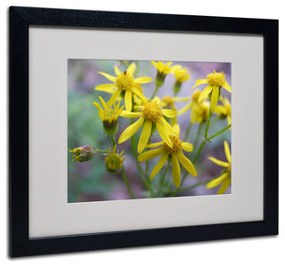 'Intriguing Dynasty' Matted Framed Canvas Art by Monica Fleet