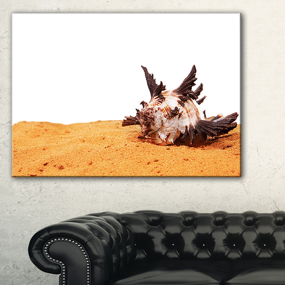 "Large Sea Shells on Sand" Canvas Print
