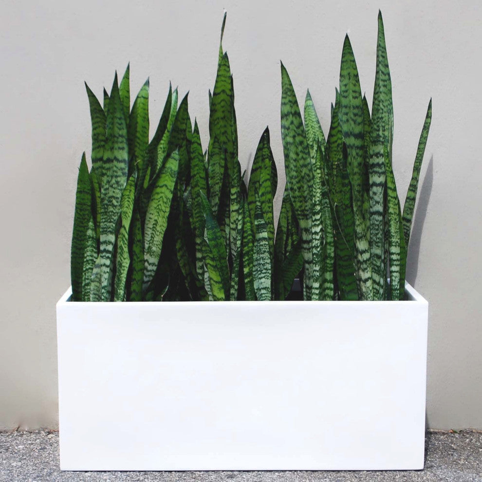 Belmont Rectangle Planter Box, Gray, 30"x10"x10"