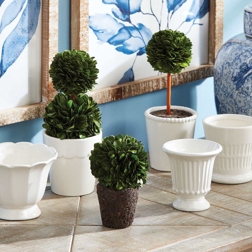 Boxwood Mini Topiary Drop-Ins, Set of 3