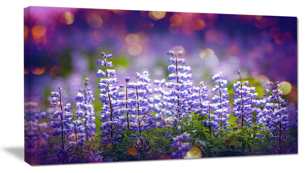 Blue Lupin Flowers on Blue Background, Large Flower Canvas Art Print, 32"x16"