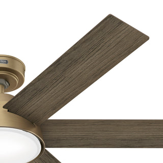 52" Donatella Burnished Brass Ceiling Fan, LED Light Kit and Handheld Remote