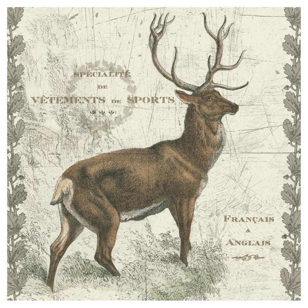 "Regal Elk Sq" Digital Paper Print by Sue Schlabach, 26"x26"