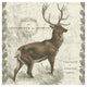 "Regal Elk Sq" Digital Paper Print by Sue Schlabach, 26"x26"