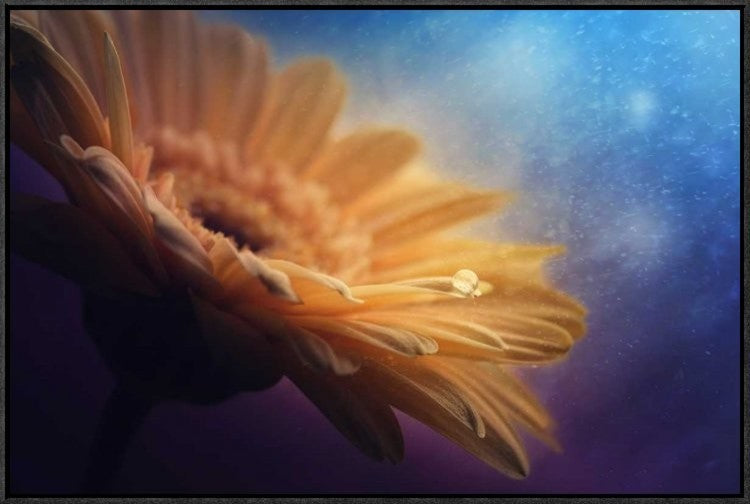 "Universe" Framed Canvas Giclee by Pasztor Andras, 31x21"