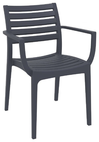Artemis Outdoor Dining Arm Chair Brown, Set of 2, Dark Gray