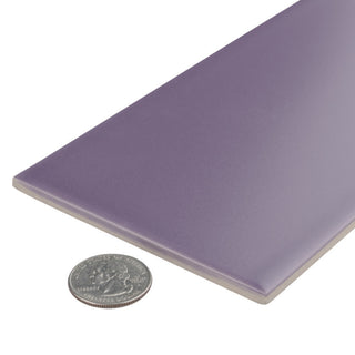 Projectos Matte Ceramic Floor and Wall Tile, Violet Purple