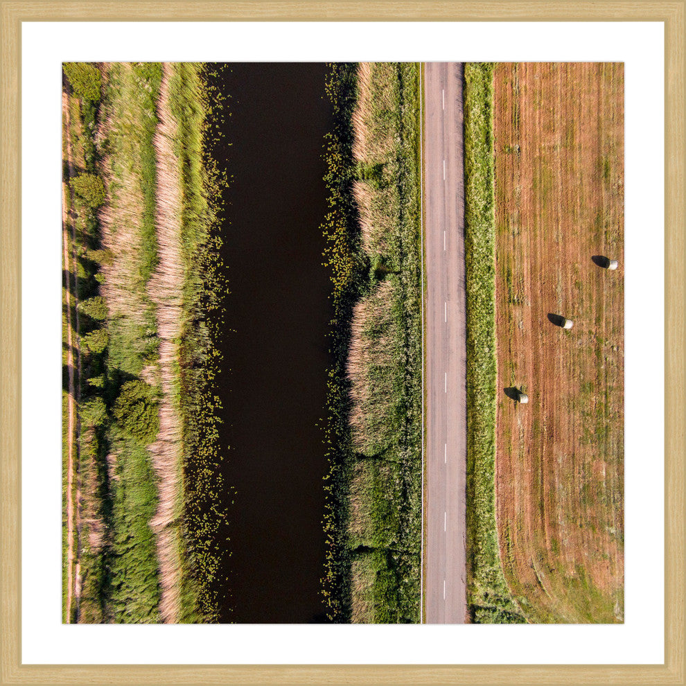 "Secret Between The Rows" Framed Print by Karolis Janulis