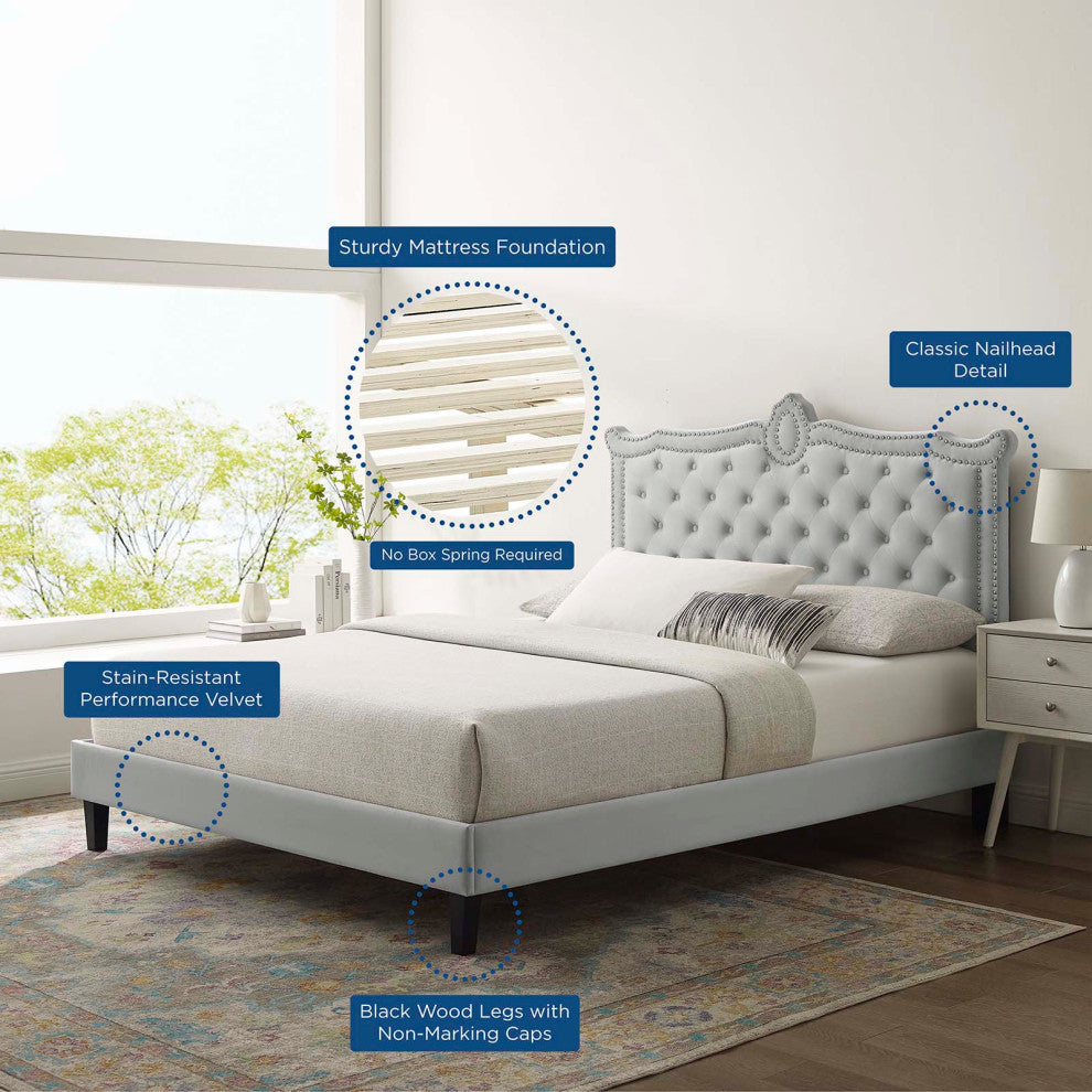 Platform Bed Frame, Nailhead, Queen Size, Gray, Velvet, Modern