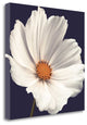 "Cosmos I" By Assaf Frank, Giclee Print on Gallery Wrap Canvas, Ready to Hang