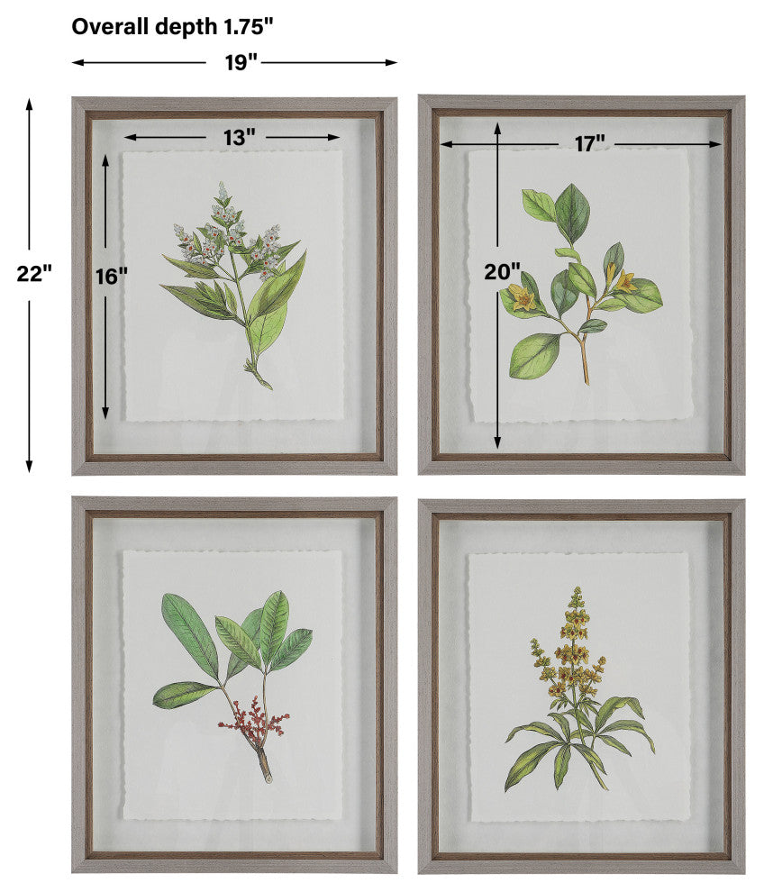 Uttermost Wildflower Study Framed Prints, Set of 4