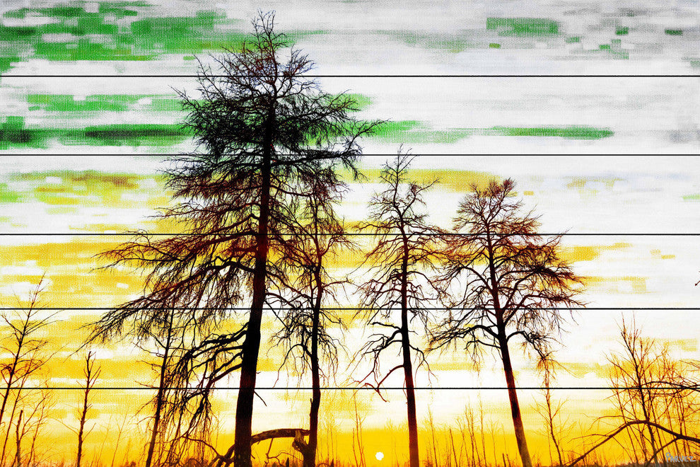 "Green and Gold Sky" Print on White Wood, 45"x30"