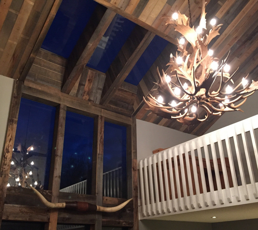 Fallow, Mule Deer Cascade Antler Chandelier Light, Large, Rawhide Shades