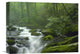 "Roaring Fork River In Great Smoky Mountains National Park, Tennessee" Artwork