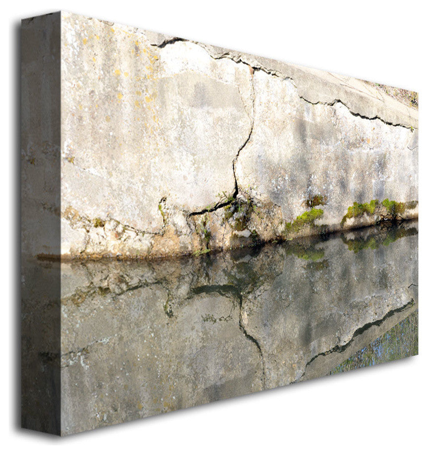 'Wall Mirror' Canvas Art by Kurt Shaffer