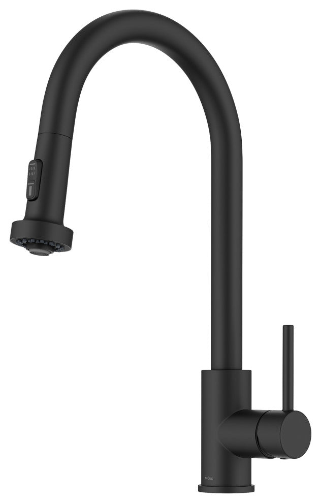 Bolden 2-Function Pull-Down 1-Handle Kitchen Faucet, Matte Black