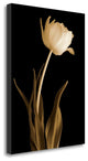 "Classic Beauty" By Charles Britt, Giclee Print on Gallery Wrap Canvas