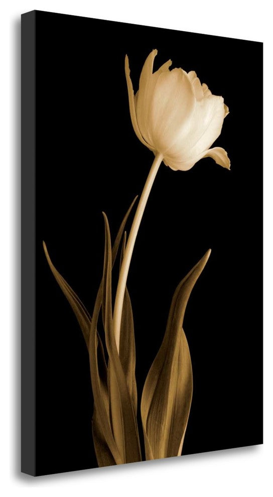"Classic Beauty" By Charles Britt, Giclee Print on Gallery Wrap Canvas