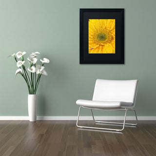 PIPA Fine Art 'Joyful Color' Matted Framed Art, 20x16