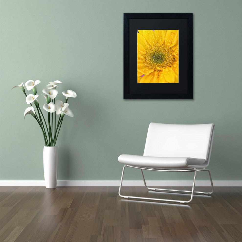 PIPA Fine Art 'Joyful Color' Matted Framed Art, 20x16