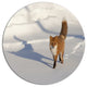 Brown Winter Cat With Footprints, Animal Large Disc Metal Wall Art, 23"