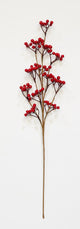 25" Weatherproof Red Berry Spray, Set of 3