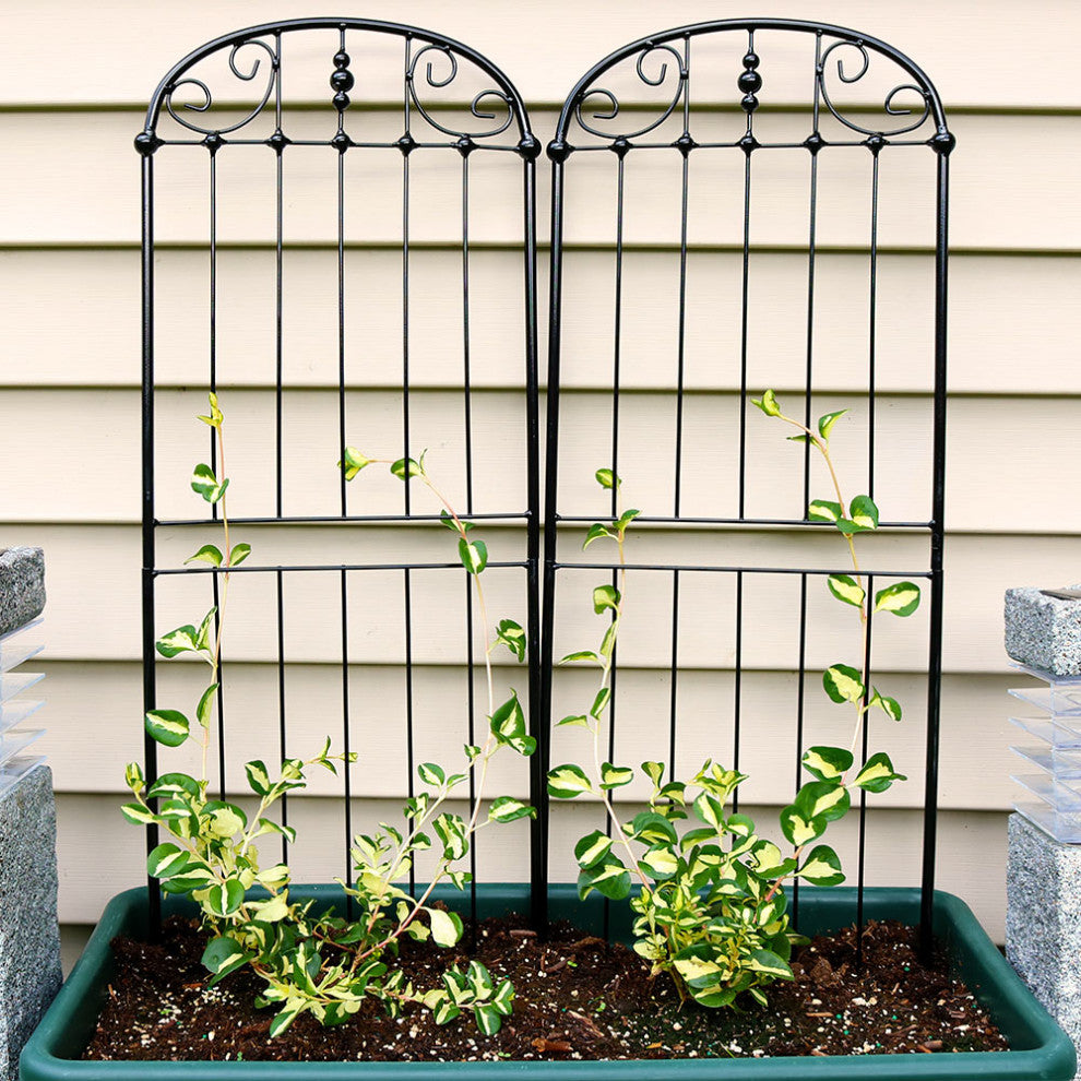 Sunnydaze 32" Durable Metal Wire Traditional Garden Trellises, Set of 2