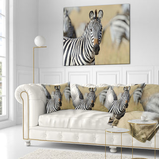 African Zebra Close Up View African Throw Pillow, 18"x18"