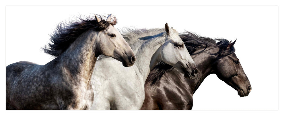 Horse Glass Wall Art Frameless Free Floating Tempered Glass Print, 24" x 63"