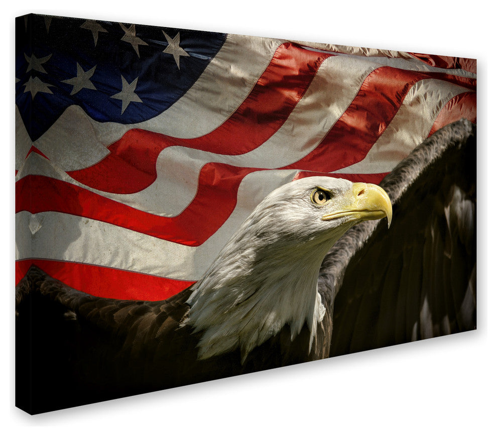 Jai Johnson 'American Eagle' Canvas Art, 24 x 16