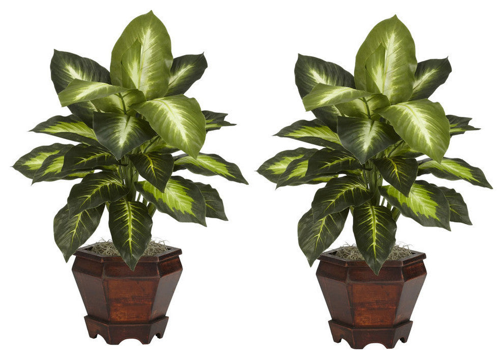 Dieffenbachia With Wood Vase Silk Plant, Set of 2, Golden