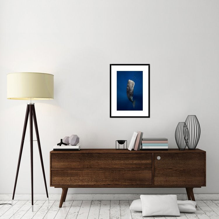 "Candle Sperm Whale" Framed Digital Print by Barathieu Gabriel, 22x30"