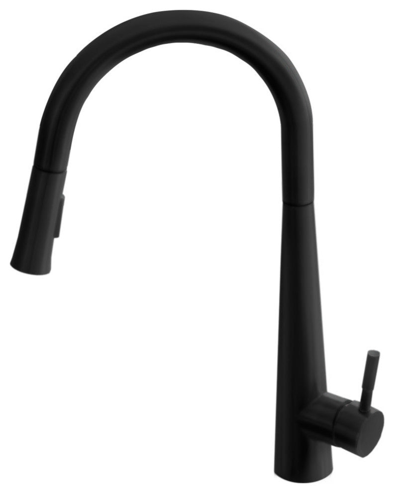 STYLISH Kitchen Sink Faucet Single Handle Pull Down Dual Mode Stainless Steel