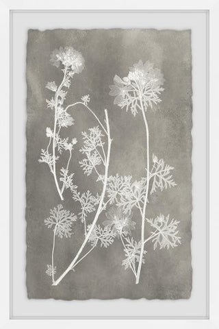 "Vintage Plant Study I" Framed Painting Print, 12"x18"