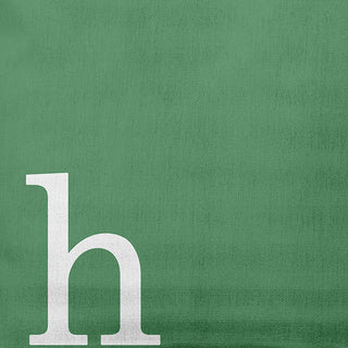 20"x20" Modern Monogram Decorative Throw Pillow, Sage