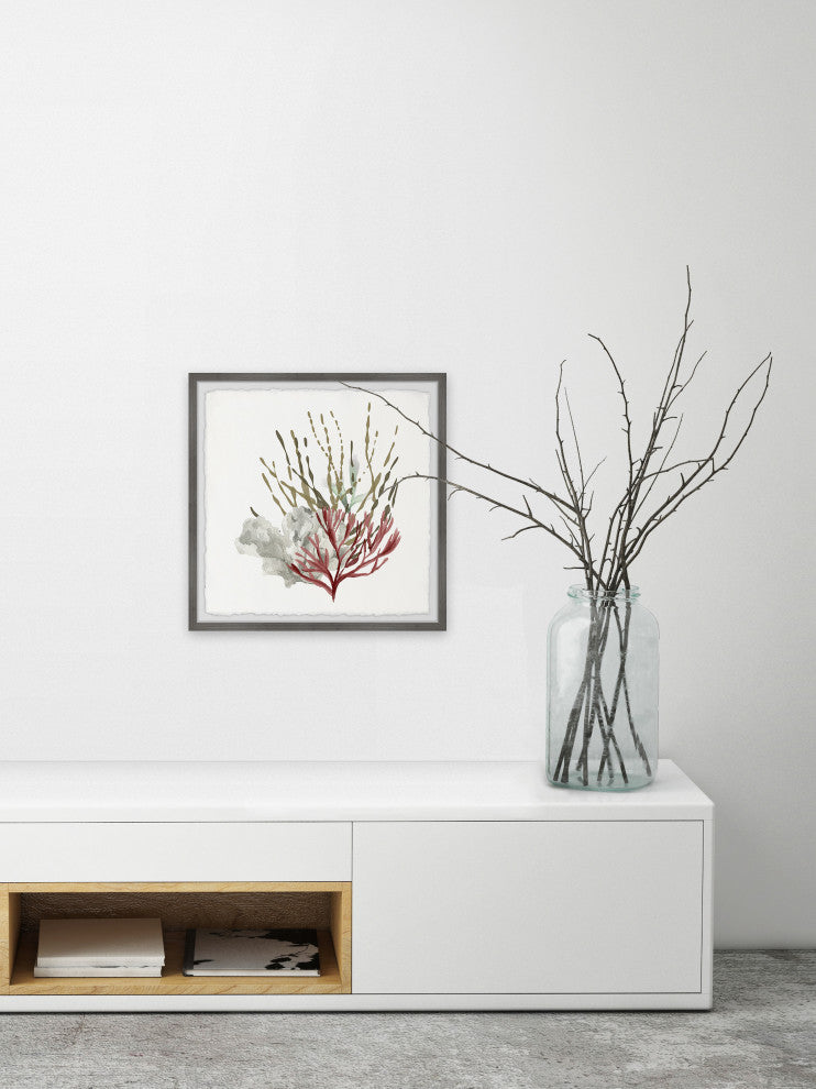 "Sea Vegetables" Framed Painting Print, 24x24
