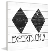"Experts Only" Painting Print on White Wood, 40"x40"