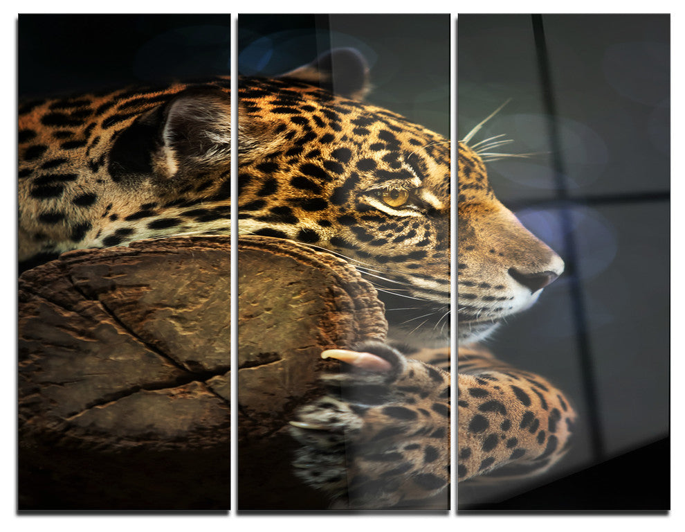 "Relaxing Jaguar" Photography Glossy Metal Wall Art, 3 Panels, 36"x28"