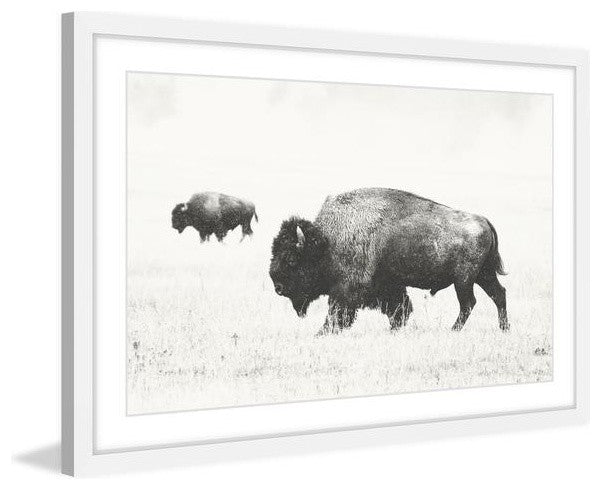 "Buffalo Pair" Framed Painting Print, 24"x16"