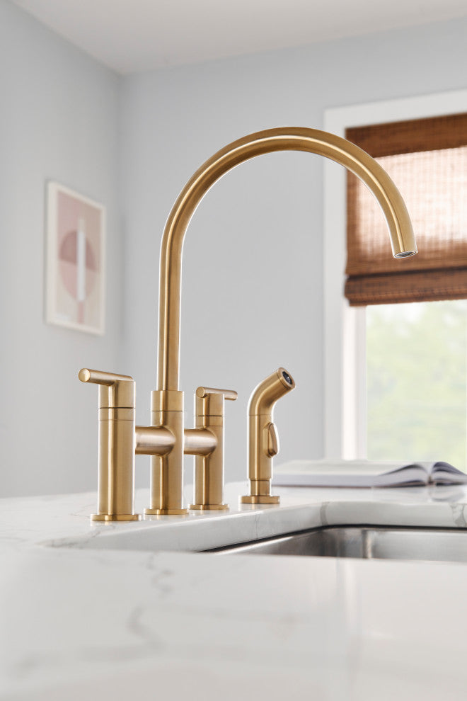 Parma Two Handle Bridge Kitchen Faucet With Sidespray, Brushed Bronze