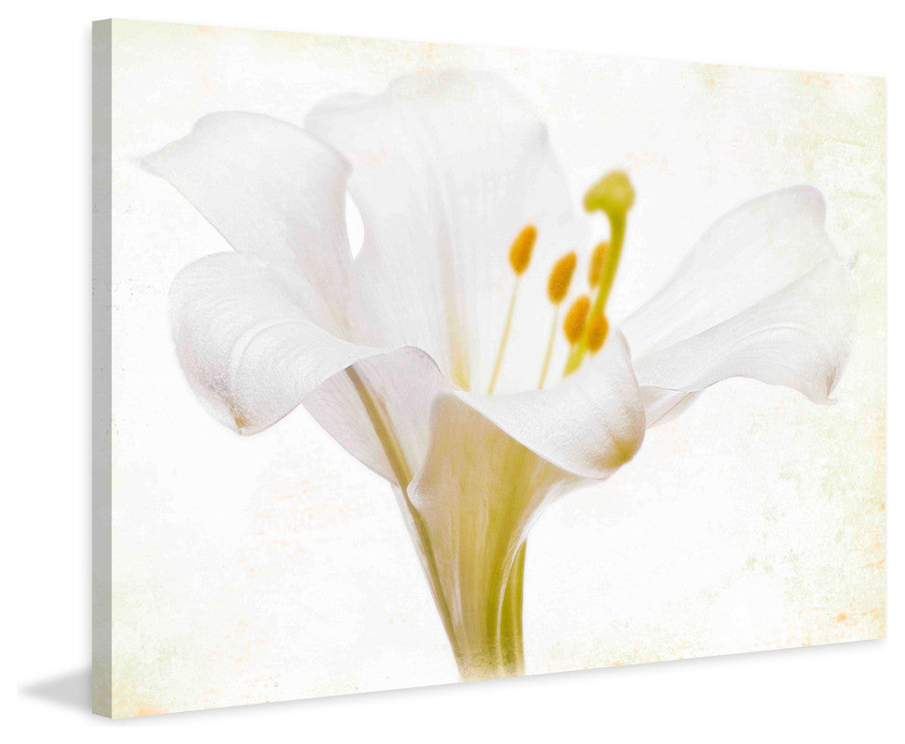 "Casablance White" Painting Print on Canvas by Aryai